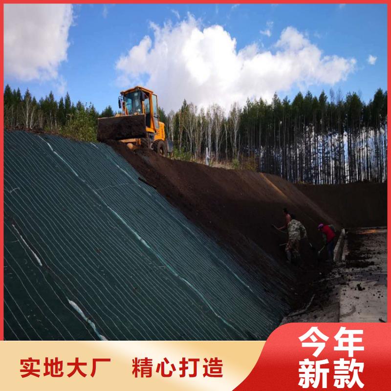 加筋抗沖生態毯-護坡植被植草毯公司新聞