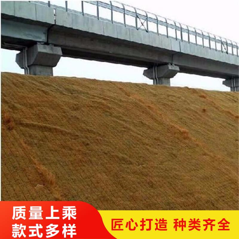 加筋抗沖生物毯-加筋復合環保草毯