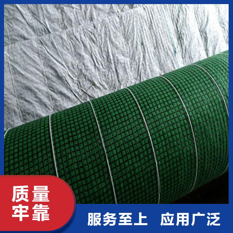 土工格栅视频-土工格栅_甘肃省武威市市场覆盖古浪|民勤|酒泉|临夏|金昌|陇南|张掖|白银等
