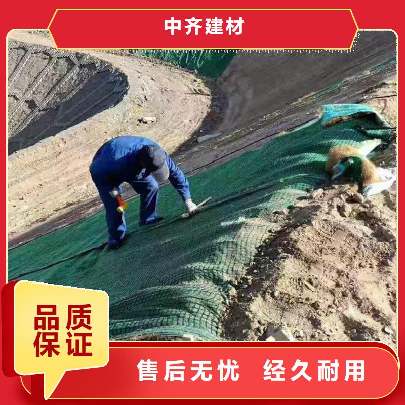 植生椰絲毯-護坡植被植草毯