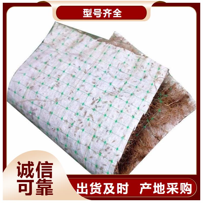 加筋抗沖生態(tài)毯草籽椰絲毯