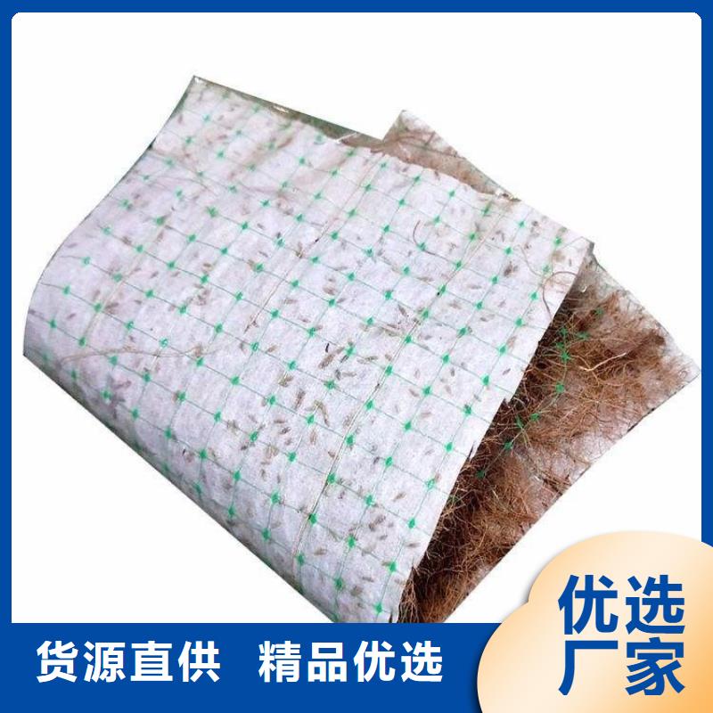 生態(tài)環(huán)保草毯-護(hù)坡植被植草毯-環(huán)保植被墊