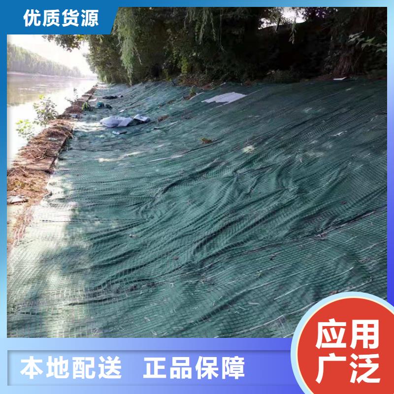 加筋抗沖生態(tài)毯種類齊全