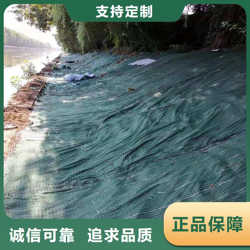 植生椰絲毯-加筋抗沖生態毯-河道護坡植生毯