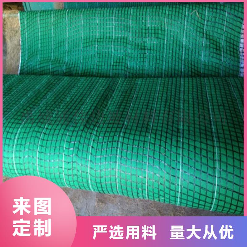 椰纖植生毯-生態(tài)環(huán)保草毯