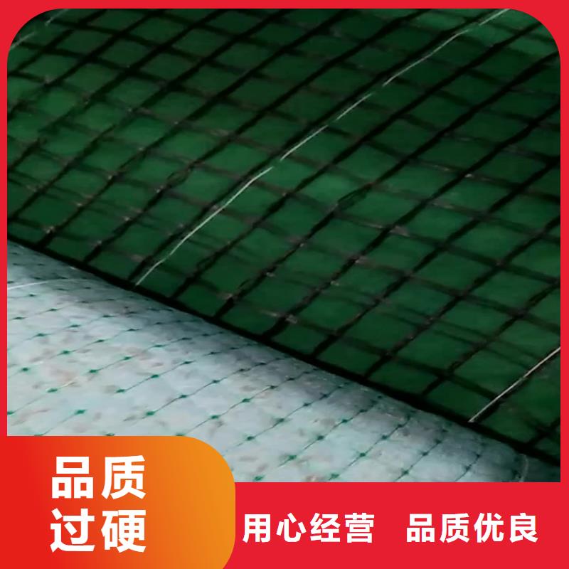 加筋抗沖生態毯-植物生態防護毯