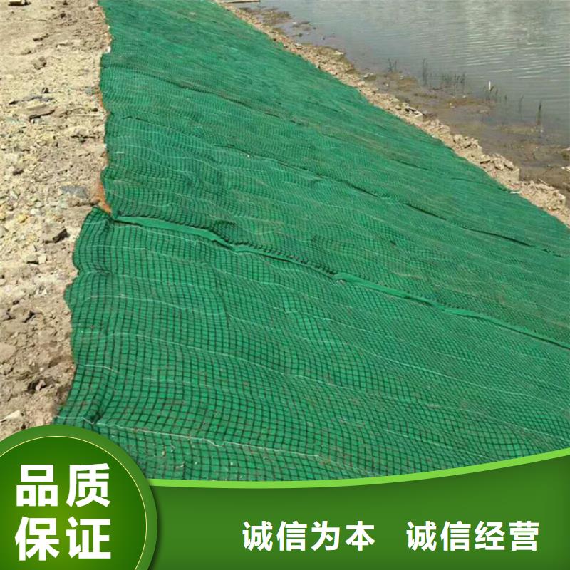 土工格栅视频-土工格栅|武威市|凉州|古浪|定西|白银|甘南|张掖|平凉|酒泉|兰州