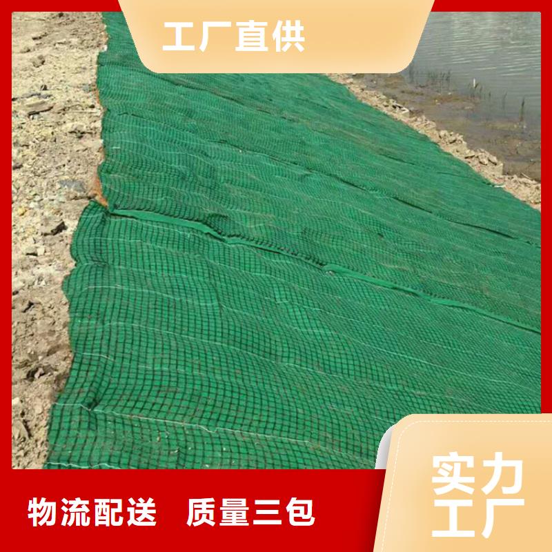 椰纖植生毯-植物纖維毯-水保植物纖維毯