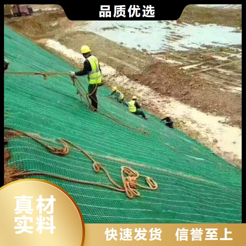 加筋抗沖生態(tài)毯草籽椰絲毯
