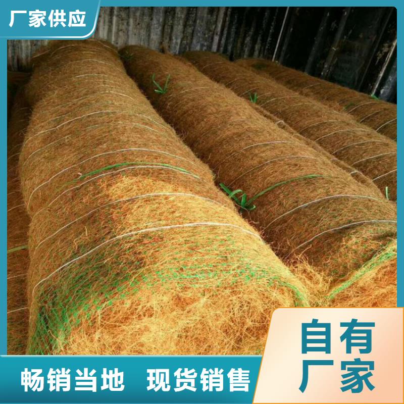 生態(tài)環(huán)保草毯-護(hù)坡植被植草毯-環(huán)保植被墊