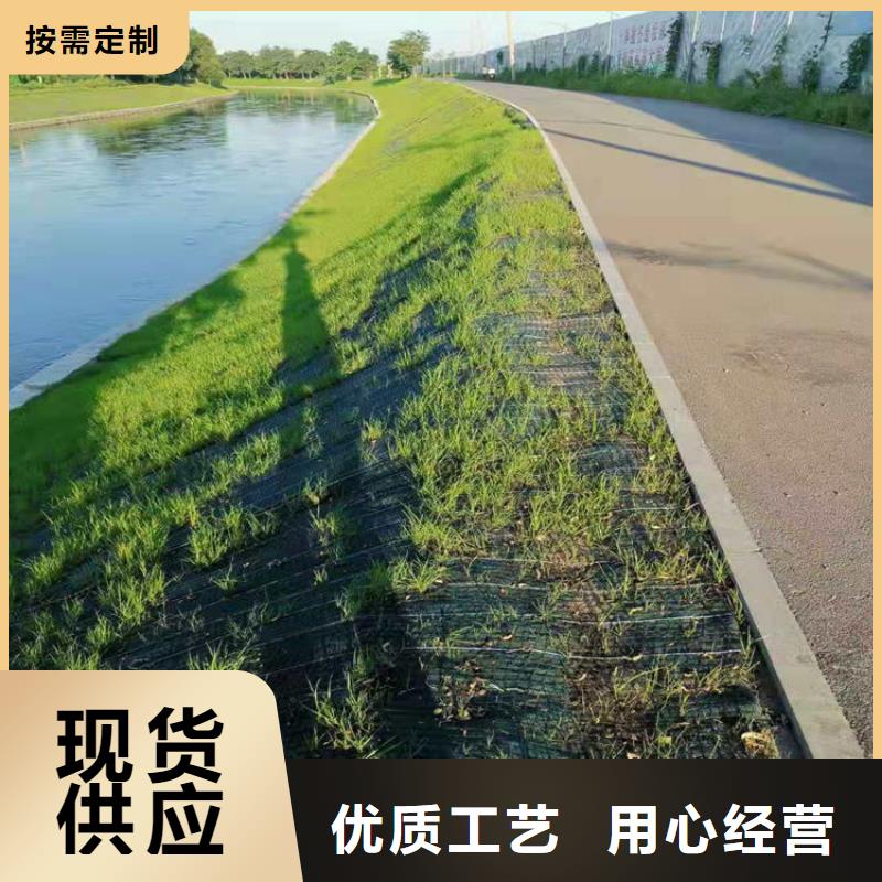 椰絲毯塑料盲溝貨源充足