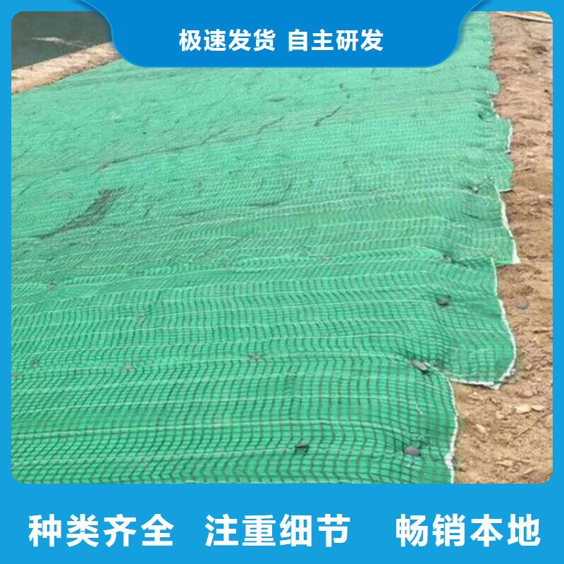 土工格栅视频-土工格栅_甘肃省武威市市场覆盖古浪|民勤|酒泉|临夏|金昌|陇南|张掖|白银等