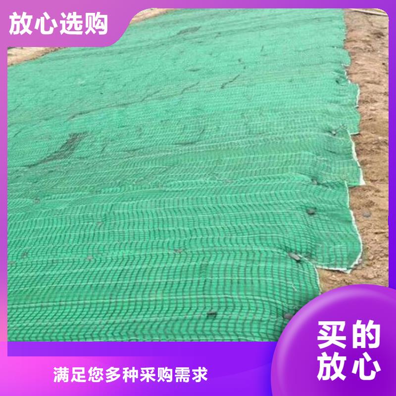 生態植被毯椰絲植被毯