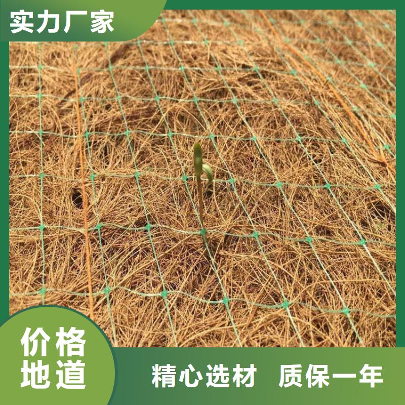 加筋抗沖生物毯-加筋復合環保草毯