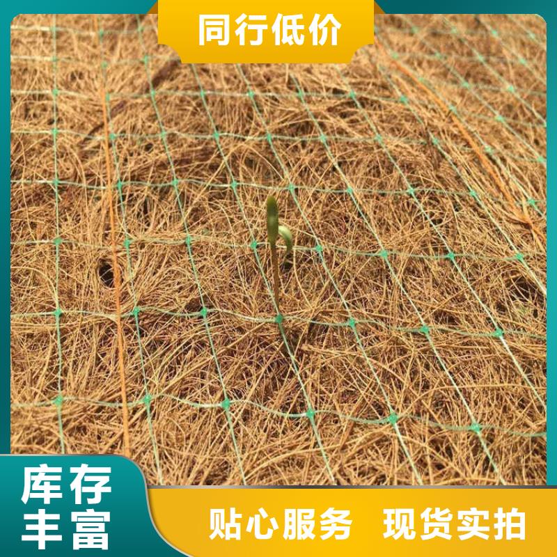 植物生態防護毯-椰纖植生毯