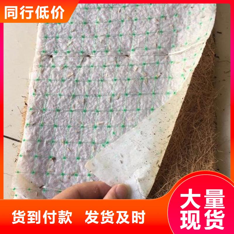 加筋抗沖生態毯-植物生態防護毯