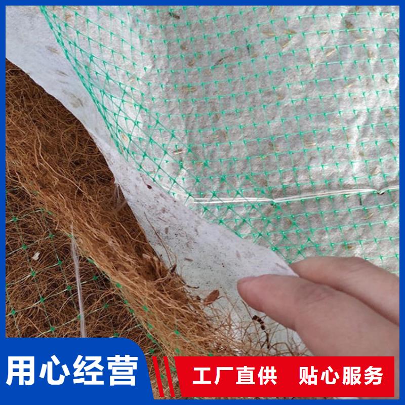 植物生態防護毯價格資訊-已更新