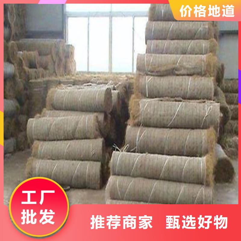 植物生態防護毯價格資訊-已更新