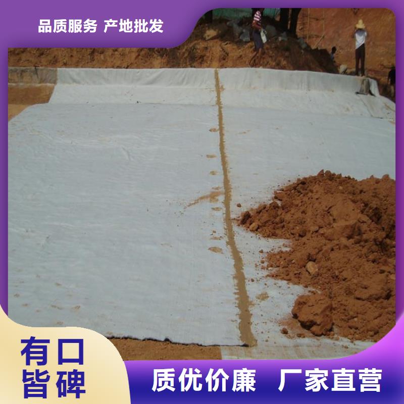 膨潤土防水毯HDPE土工膜出貨快
