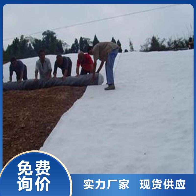膨潤土防水毯HDPE土工膜誠信可靠