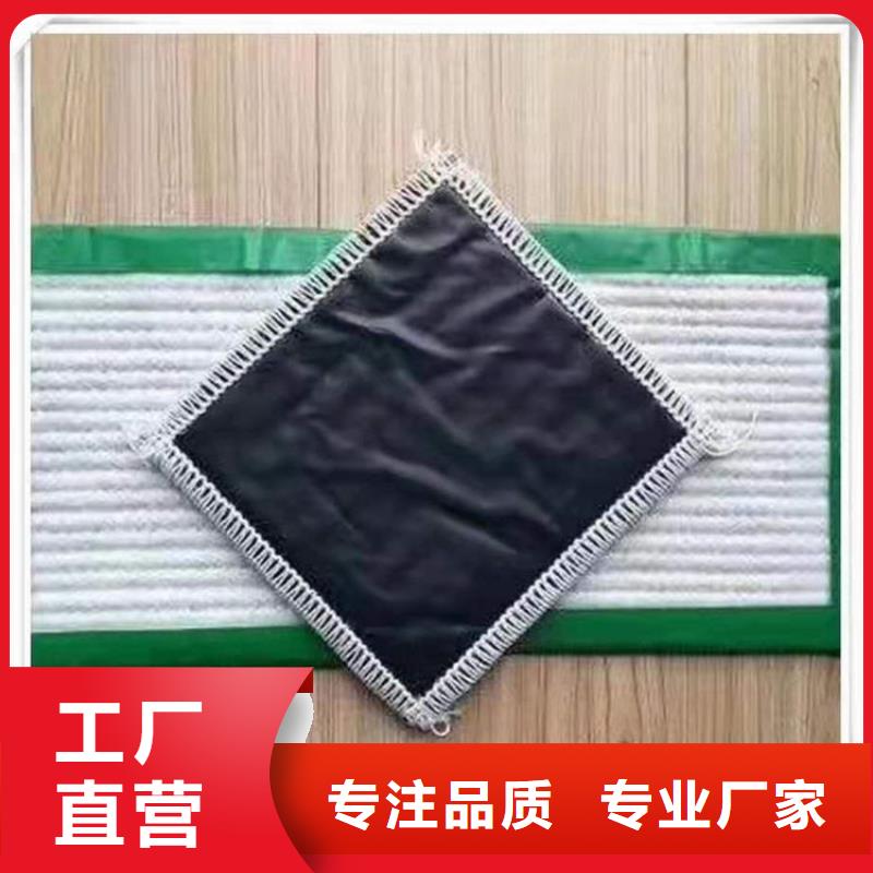 土工格栅视频-土工格栅-泰州市靖江市姜堰|高港|兴化|海陵【此地】制造商