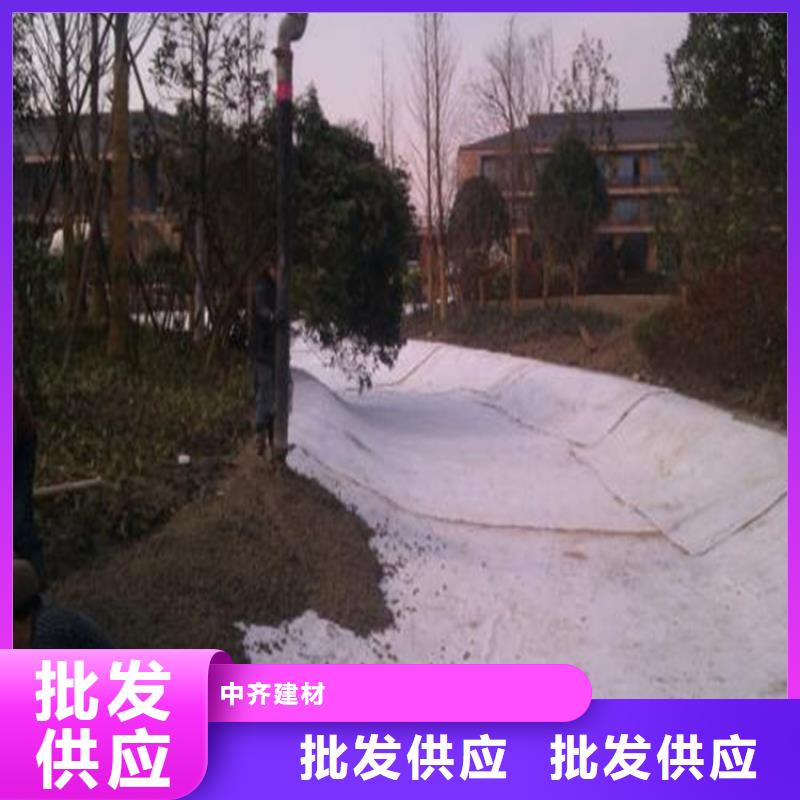 膨潤土防水毯_植草格支持批發(fā)零售