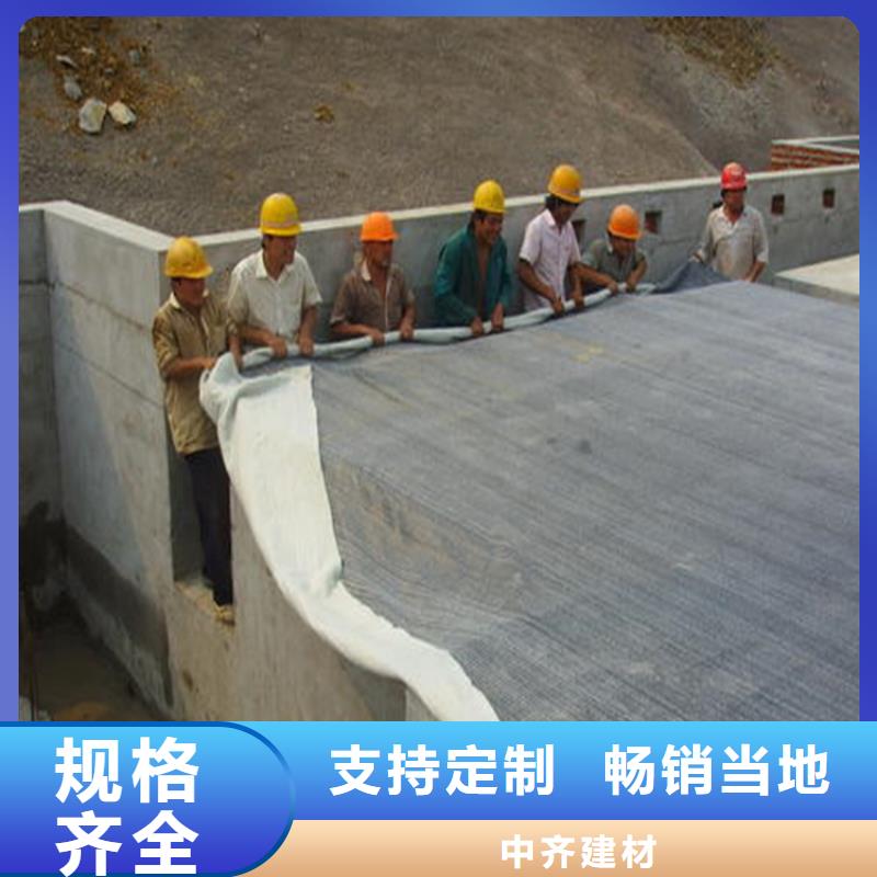 膨潤土防水毯,土工格柵源頭廠家經驗豐富