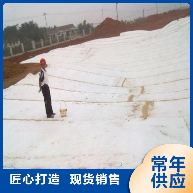 【膨潤土防水毯蓄水板源頭直供】