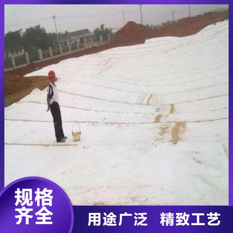 膨潤土防水毯,土工格柵源頭廠家經驗豐富