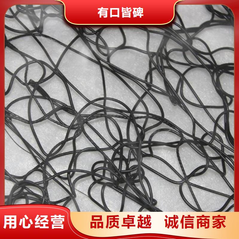 【通風降噪絲網_雙向土工格柵產品細節】