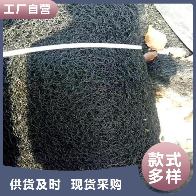 土工格栅视频-土工格栅_福建省三明市市场覆盖建宁|大田|南平|宁德|莆田|厦门|龙岩|福州等