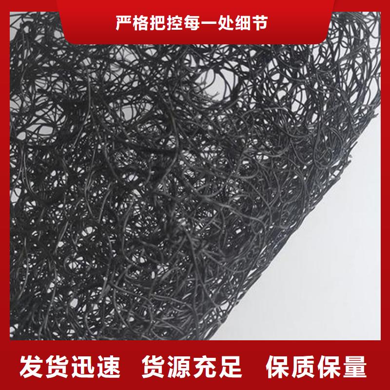 【通風降噪絲網_雙向土工格柵產品細節】