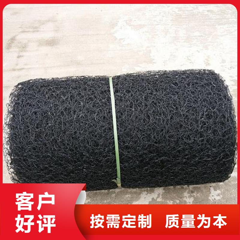 【通風降噪絲網_雙向土工格柵產品細節】