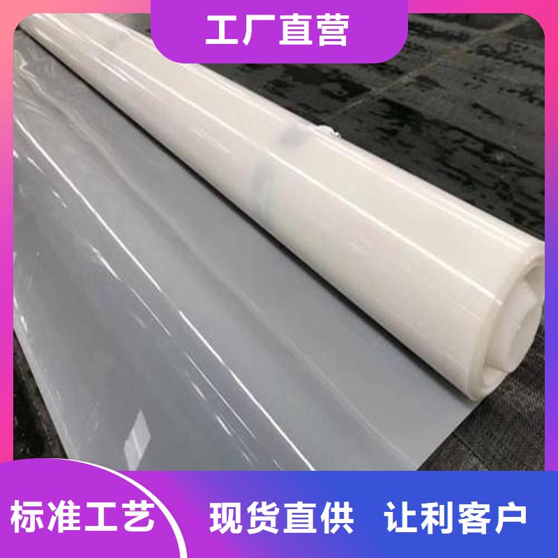 防水板双向土工格栅源头厂商