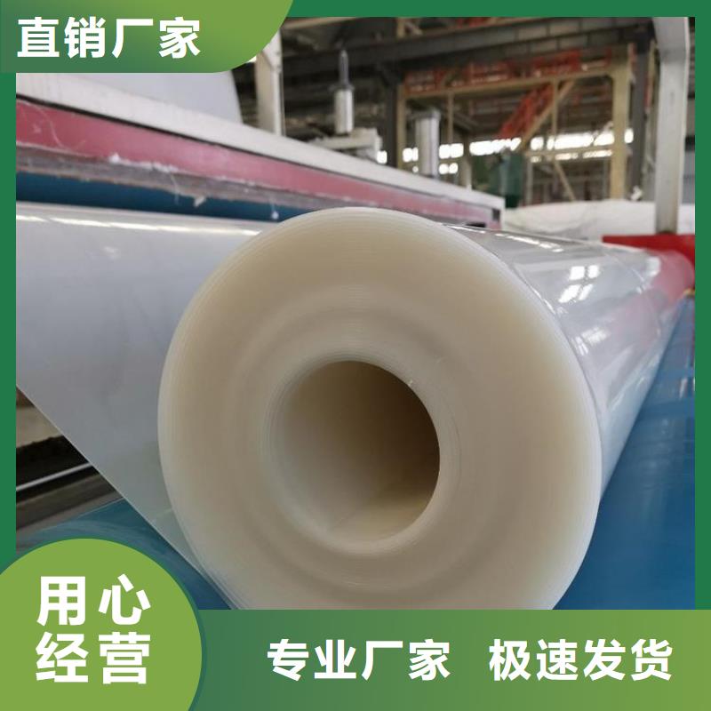 防水板-【土工膜】准时交付本地供应商