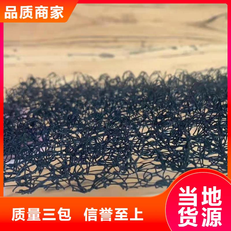 土工格柵-視頻-湖北省土工格柵-湖北省咸寧|黃岡|宜昌|荊門(同城)生產商