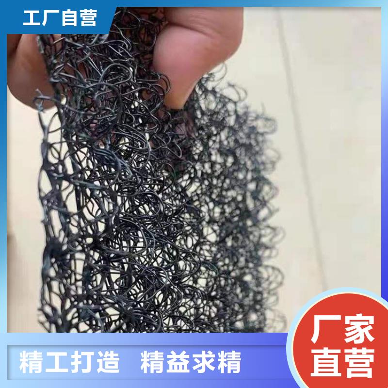 土工格柵-視頻-湖北省土工格柵-湖北省咸寧|黃岡|宜昌|荊門(同城)生產商