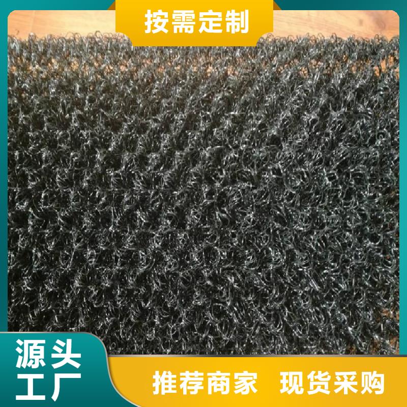 土工格柵-視頻-湖北省土工格柵-湖北省咸寧|黃岡|宜昌|荊門(同城)生產商