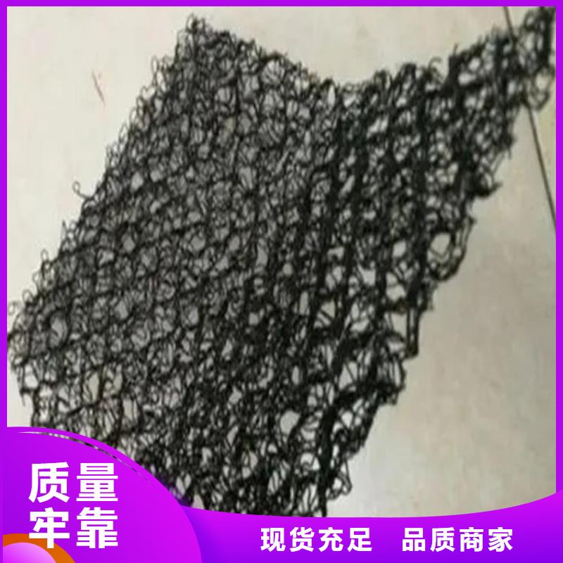 水土保護(hù)毯_土工格室廠家批發(fā)價(jià)