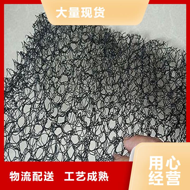 土工格柵-視頻-湖北省土工格柵-湖北省咸寧|黃岡|宜昌|荊門(同城)生產商