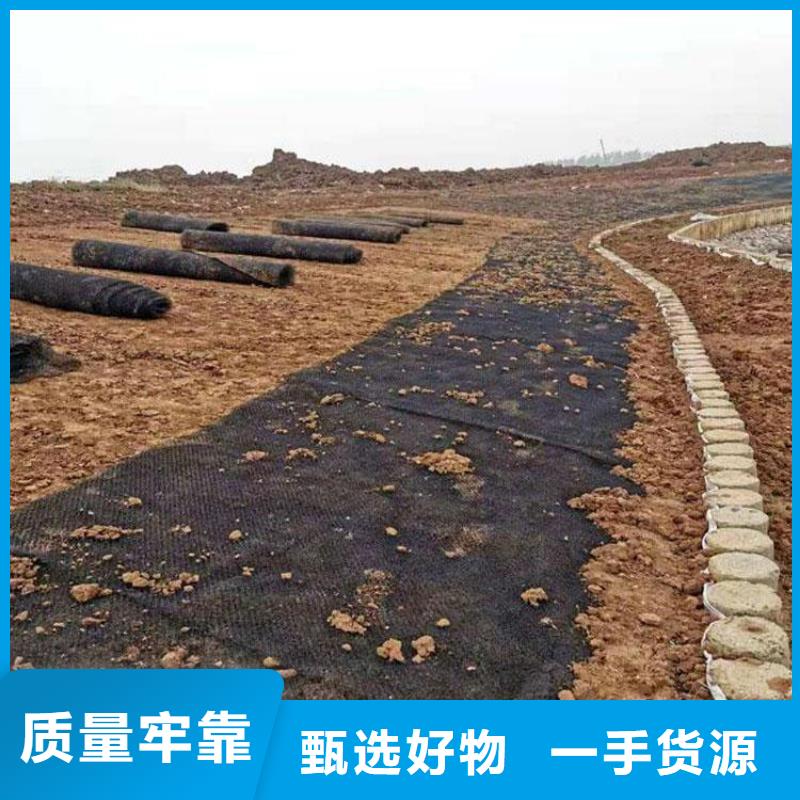 土工格柵-視頻-湖北省土工格柵-湖北省咸寧|黃岡|宜昌|荊門(同城)生產商