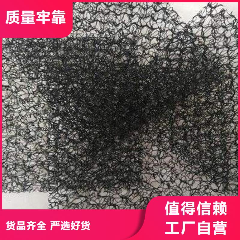 土工格柵-視頻-湖北省土工格柵-湖北省咸寧|黃岡|宜昌|荊門(同城)生產商