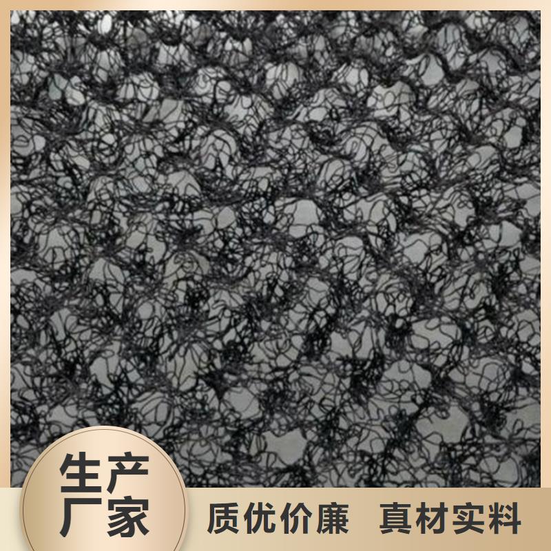 土工格柵-視頻-湖北省土工格柵-湖北省咸寧|黃岡|宜昌|荊門(同城)生產商