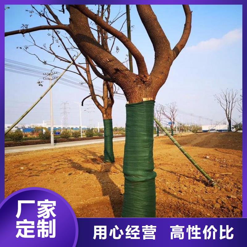 裹樹布橡膠支座實(shí)體廠家大量現(xiàn)貨