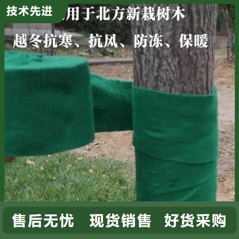 土工格栅视频-浙江省宁波市|北仓|奉化|嘉兴|台州|杭州|温州|舟山|衢州|金华土工格栅-中齐