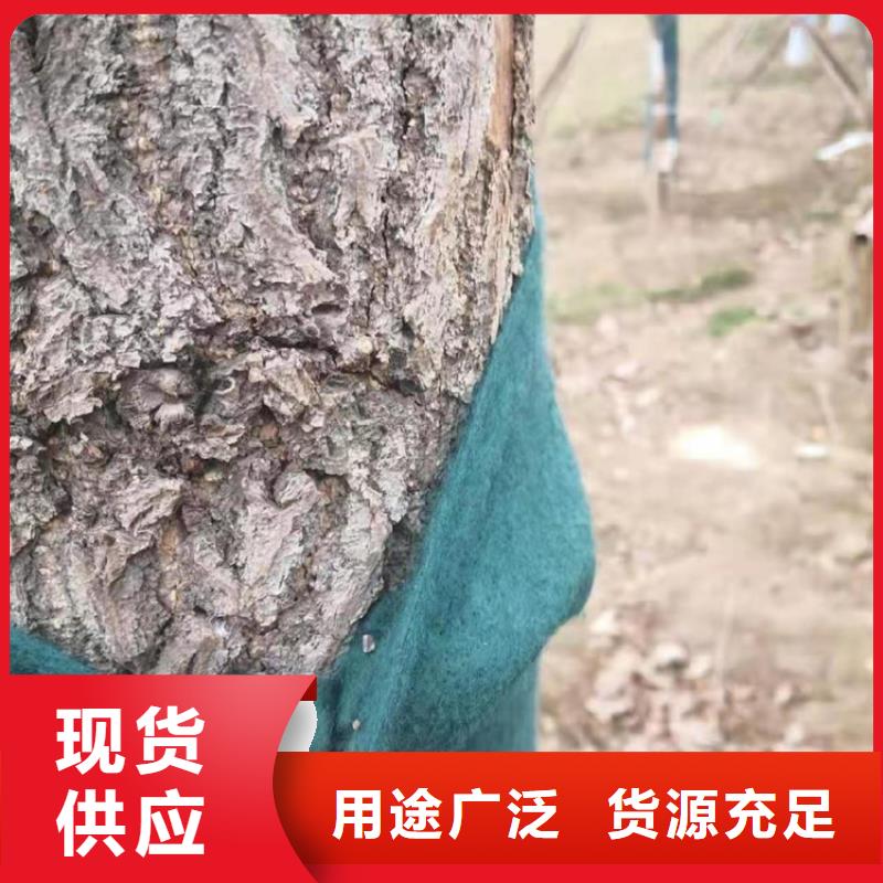 裹樹布礦用格柵一站式采購