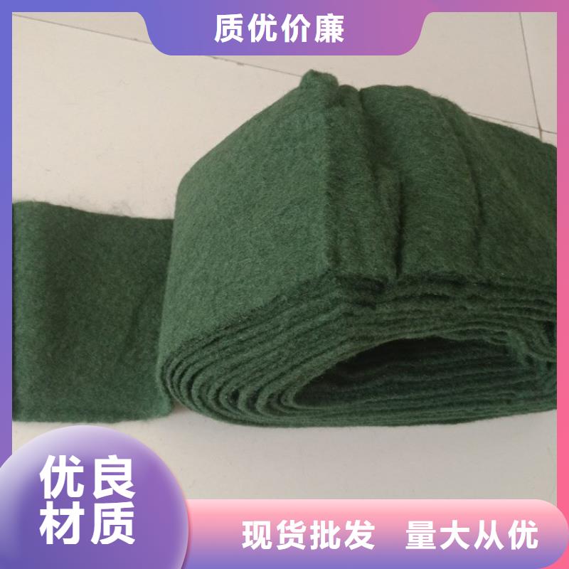 裹樹布防滲膜您想要的我們都有