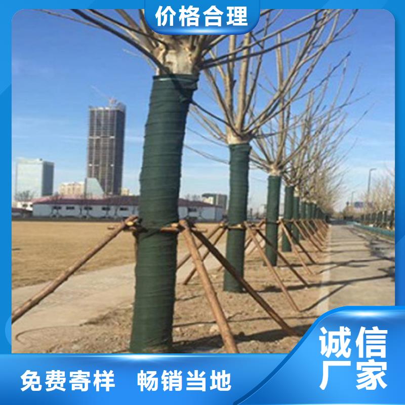 裹樹(shù)布土工膜貨源直供