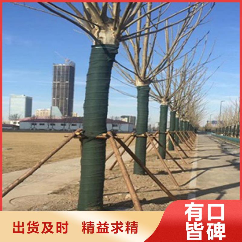 土工格栅视频-土工格栅|天水市|甘谷|秦州|平凉|陇南|金昌|酒泉|甘南|张掖