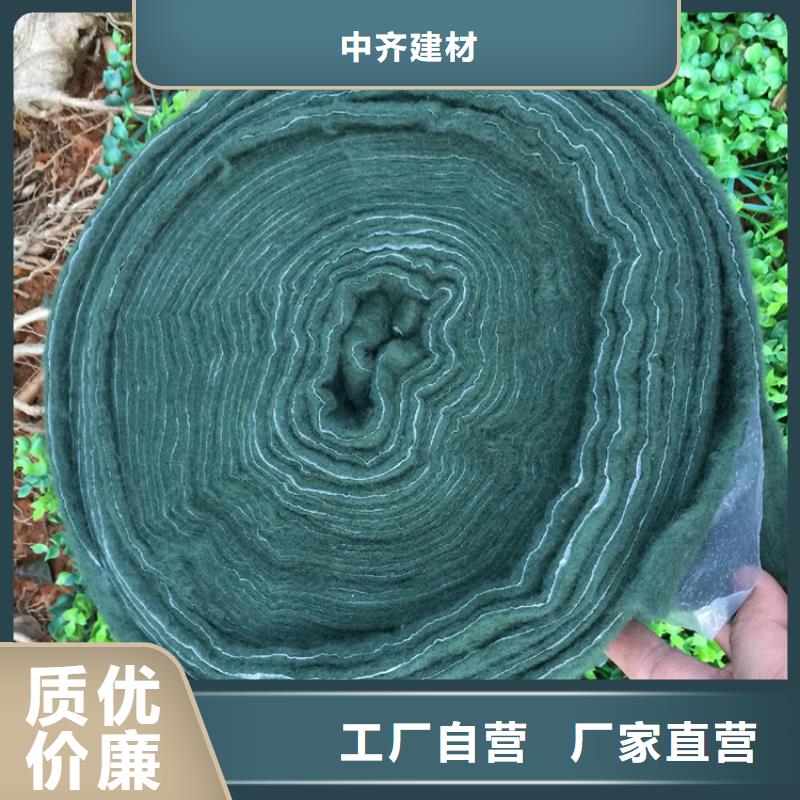 裹樹(shù)布土工膜貨源直供
